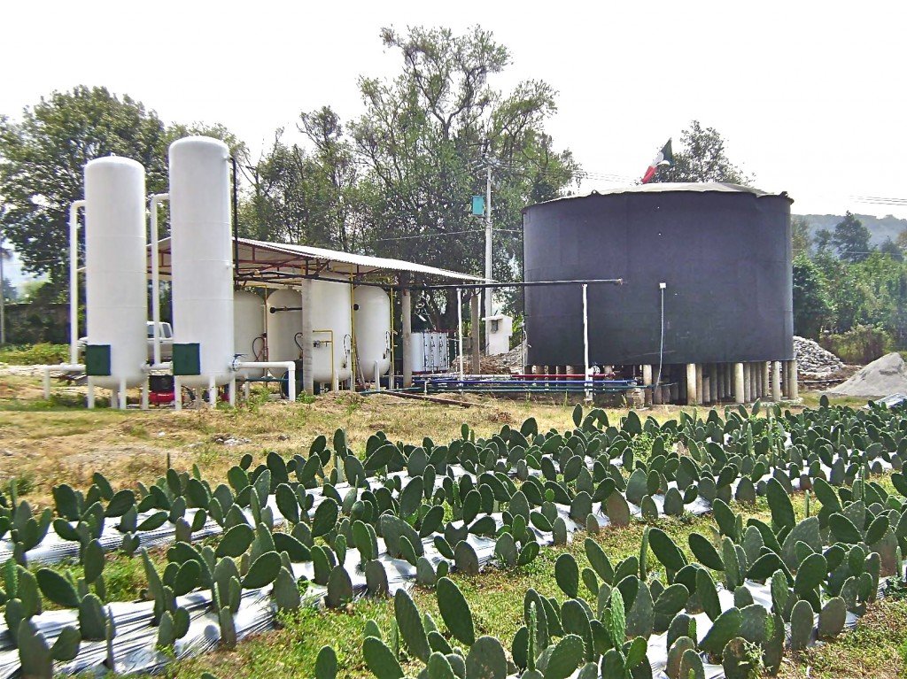 biogas-energy-nopalimex