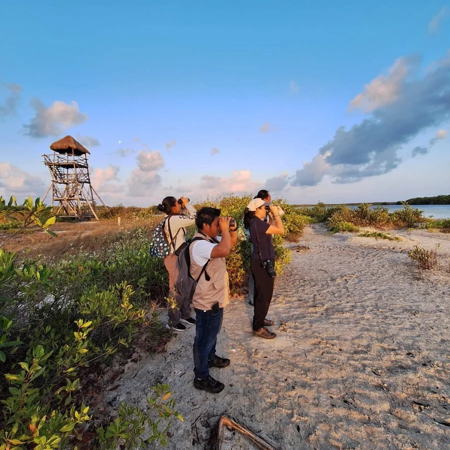 A group of birdwatchers with binoculars and cameras observing wildlife near a watchtower at sunset.