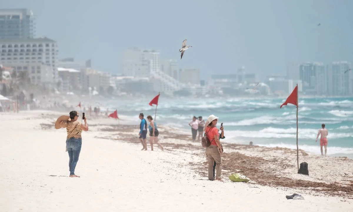 People on a sandy beach with red flags indicating strong winds, waves crashing in the background, and a seagull flying above.