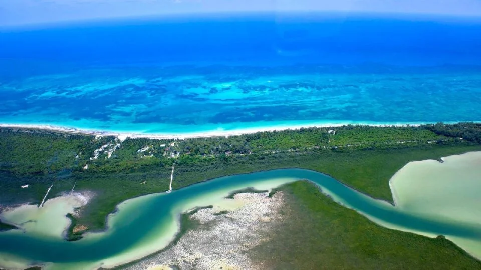 Aerial photo showing a mix of vibrant turquoise ocean, white sandy beach, green vegetation, and serpentine waterways.