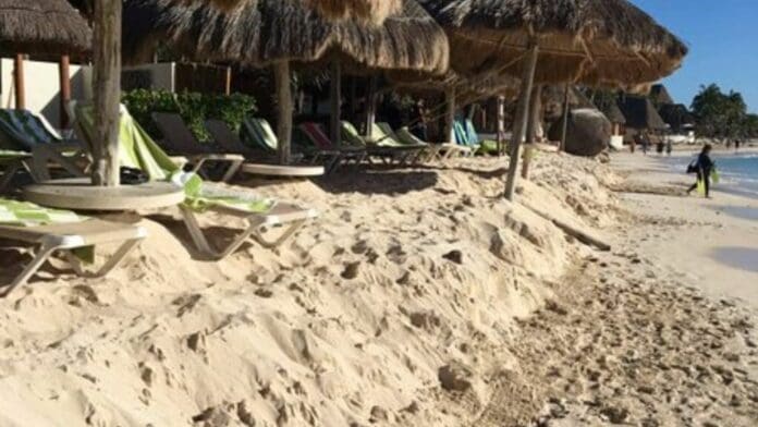 A beach scene with thatched umbrellas, lounge chairs, and a person walking in the distance.