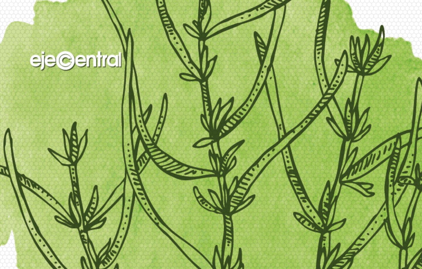 A digital drawing of plants with black outlines on a textured green background, watermarked by "ejeCentral".