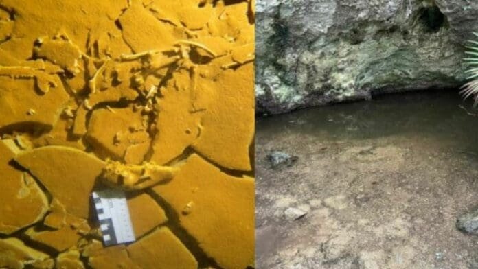 Two-part image showing a close-up of an ancient, fossilized imprint on the left and the entrance to a dimly lit cave on the right