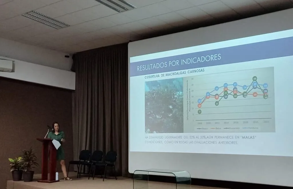 A person presenting findings on a screen, showing a chart titled "Resultados por Indicadores".