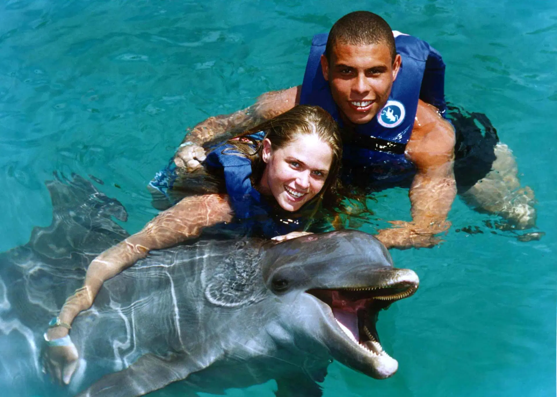 dolphins in captivity
