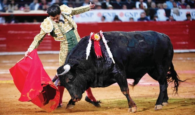 bullfighting in mexico
