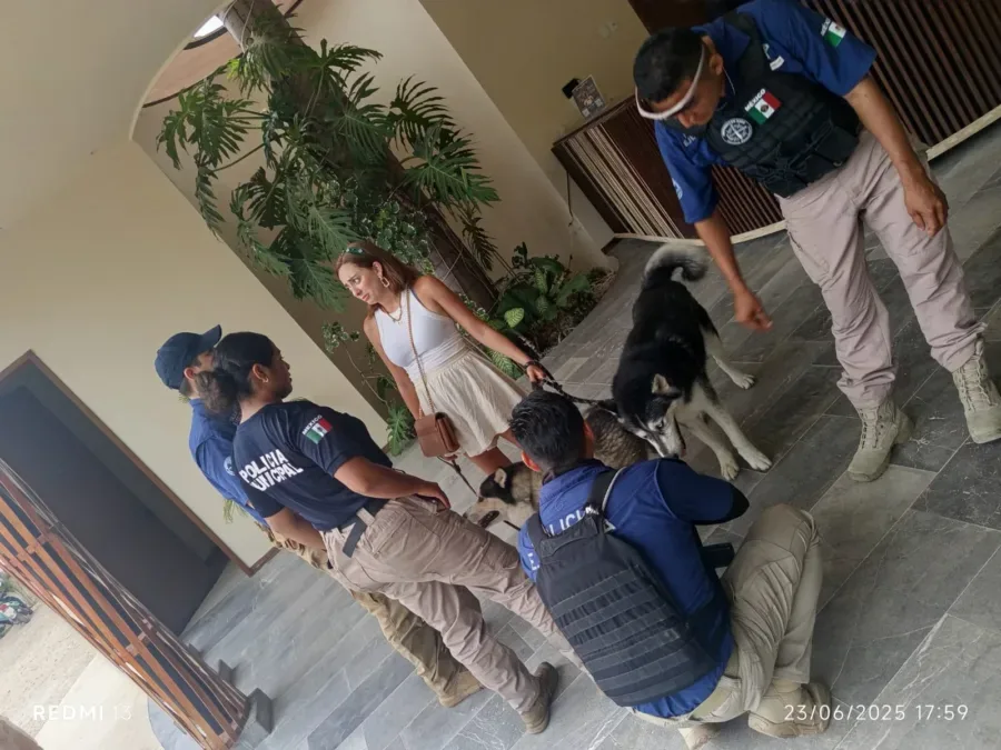 A group of people interacting with two dogs in a tropical indoor setting. One woman is standing, while several individuals in uniforms are crouched down near the dogs. There are tropical plants in the background.
