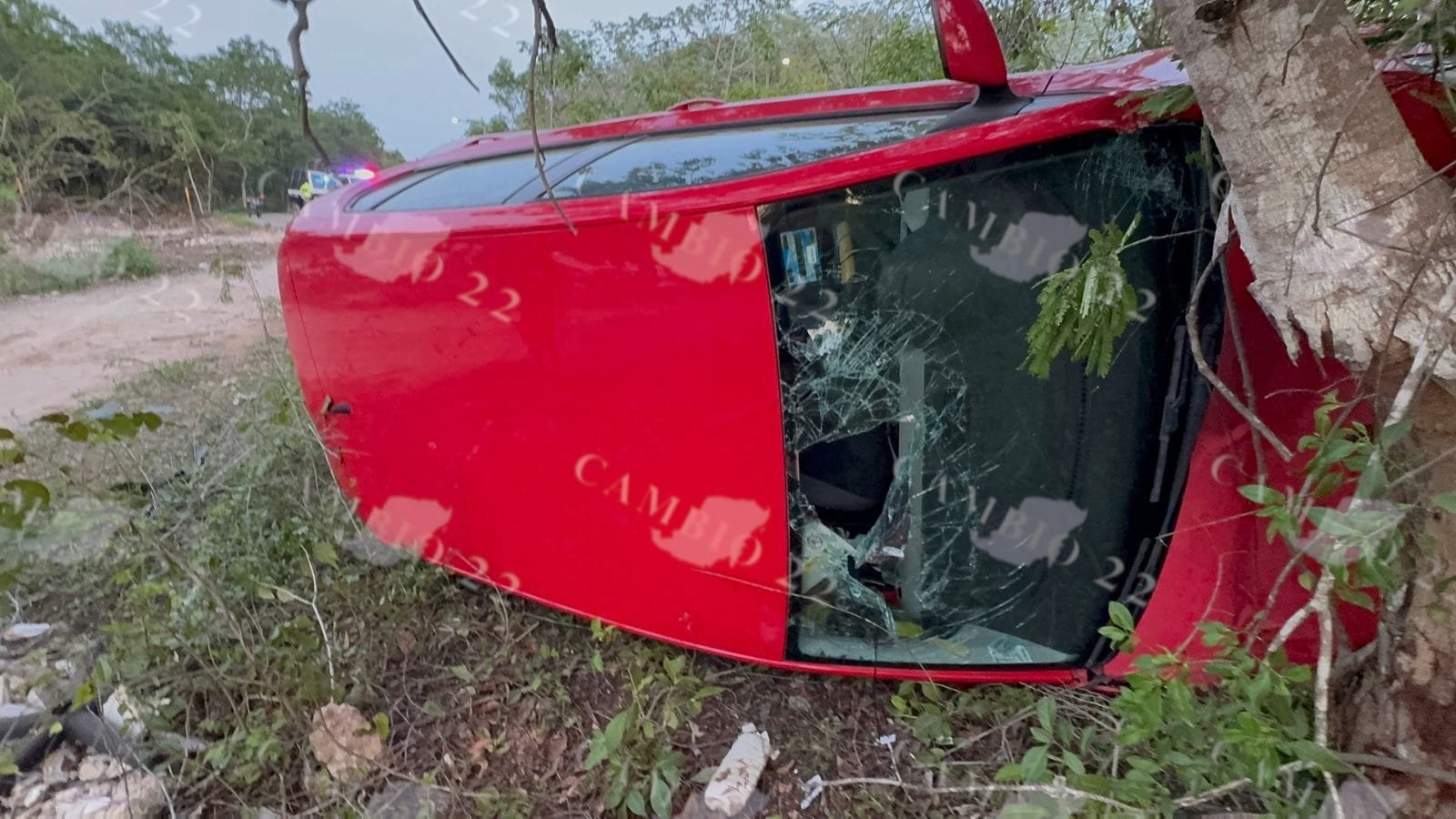 An overturned red car rests on its side in a bushy area with broken glass visible on the side window.$