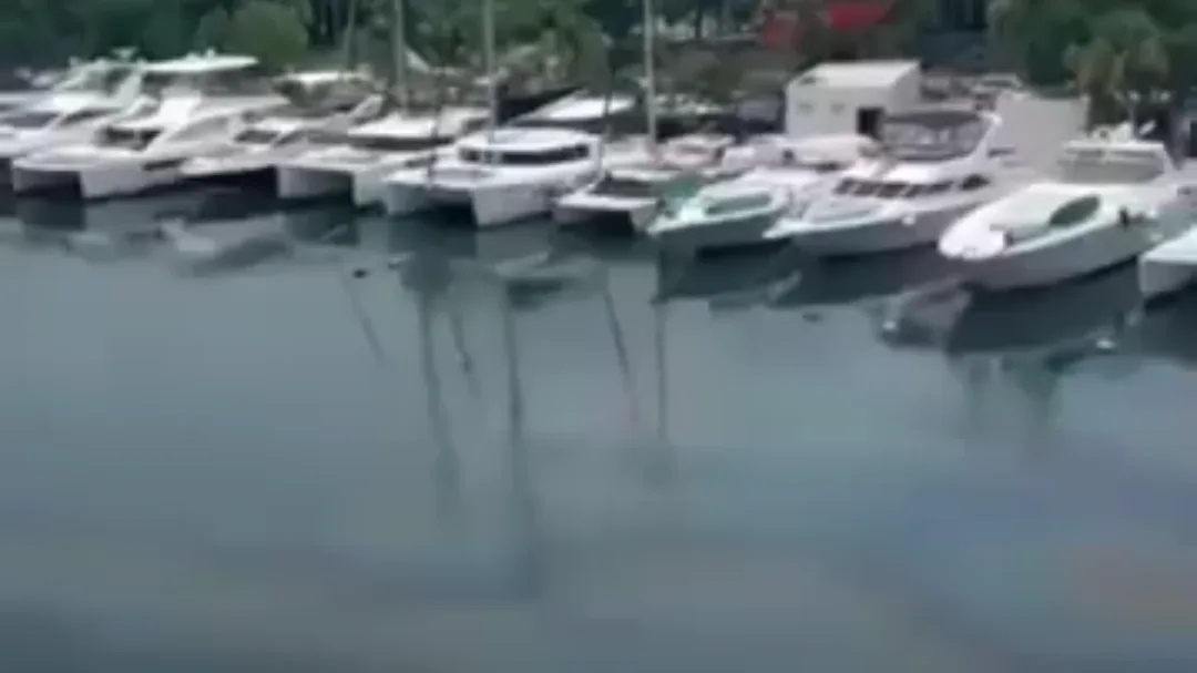 A view of several motor yachts moored in a marina with calm water reflecting the vessels and surroundings.$#$ CAPTION