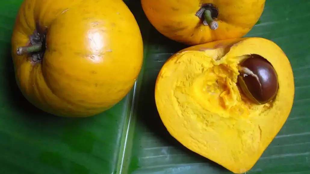 Three yellow sapotes, two whole and one cut open to reveal its texture and seed, on a banana leaf backdrop.$# CAPTION