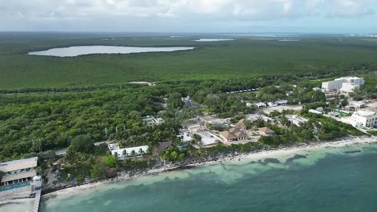 Aerial view of a lush green coastal area with a mix of vegetation, buildings, and water bodies