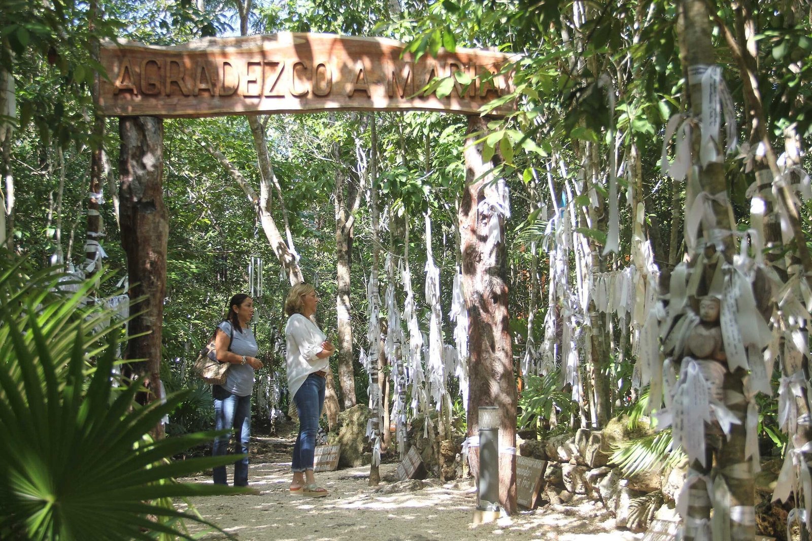 Two women standing in a lush forest, observing a collection of ribbons tied to trees, with a wooden sign overhead.$# CAPTION