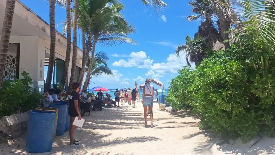 A lively beach pathway lined with palm trees, people, and colorful umbrellas beneath a bright blue sky. The sandy path leads to the beach.