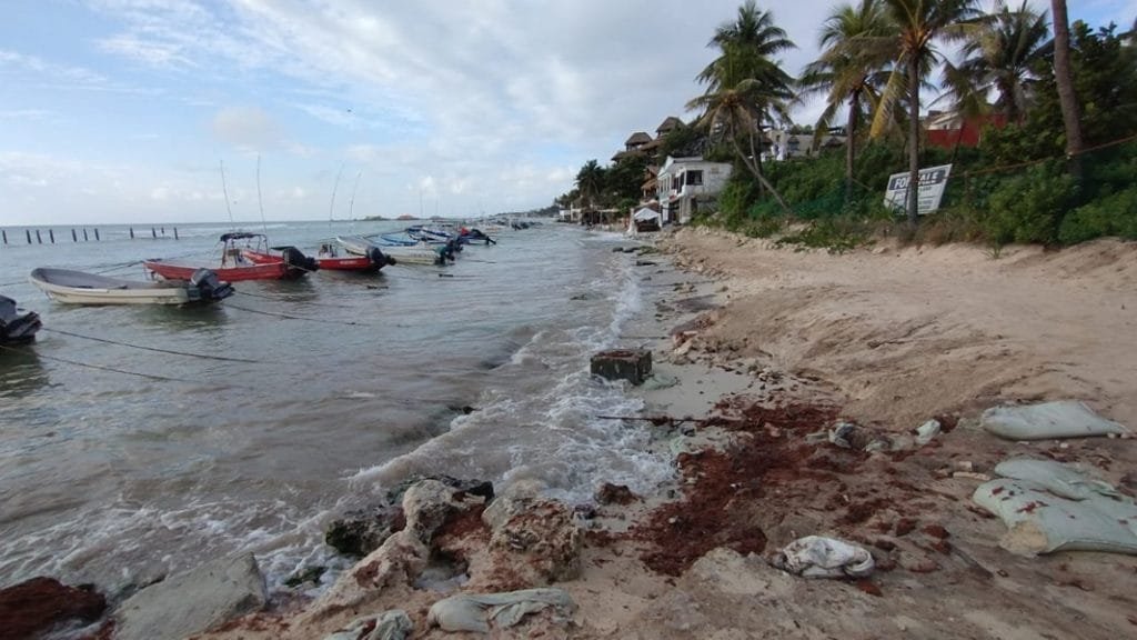 A view of a beach featuring several fishing boats, palm trees, and a shoreline with some debris and sandbags nearby.$#$ CAPTION