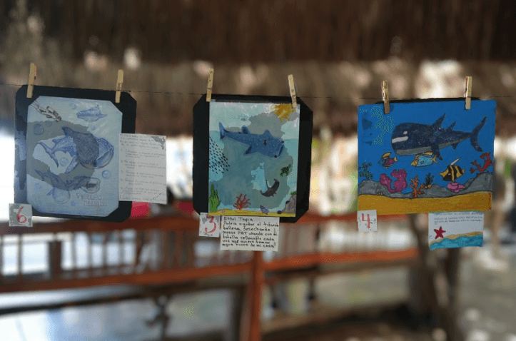 celebrating whale shark day