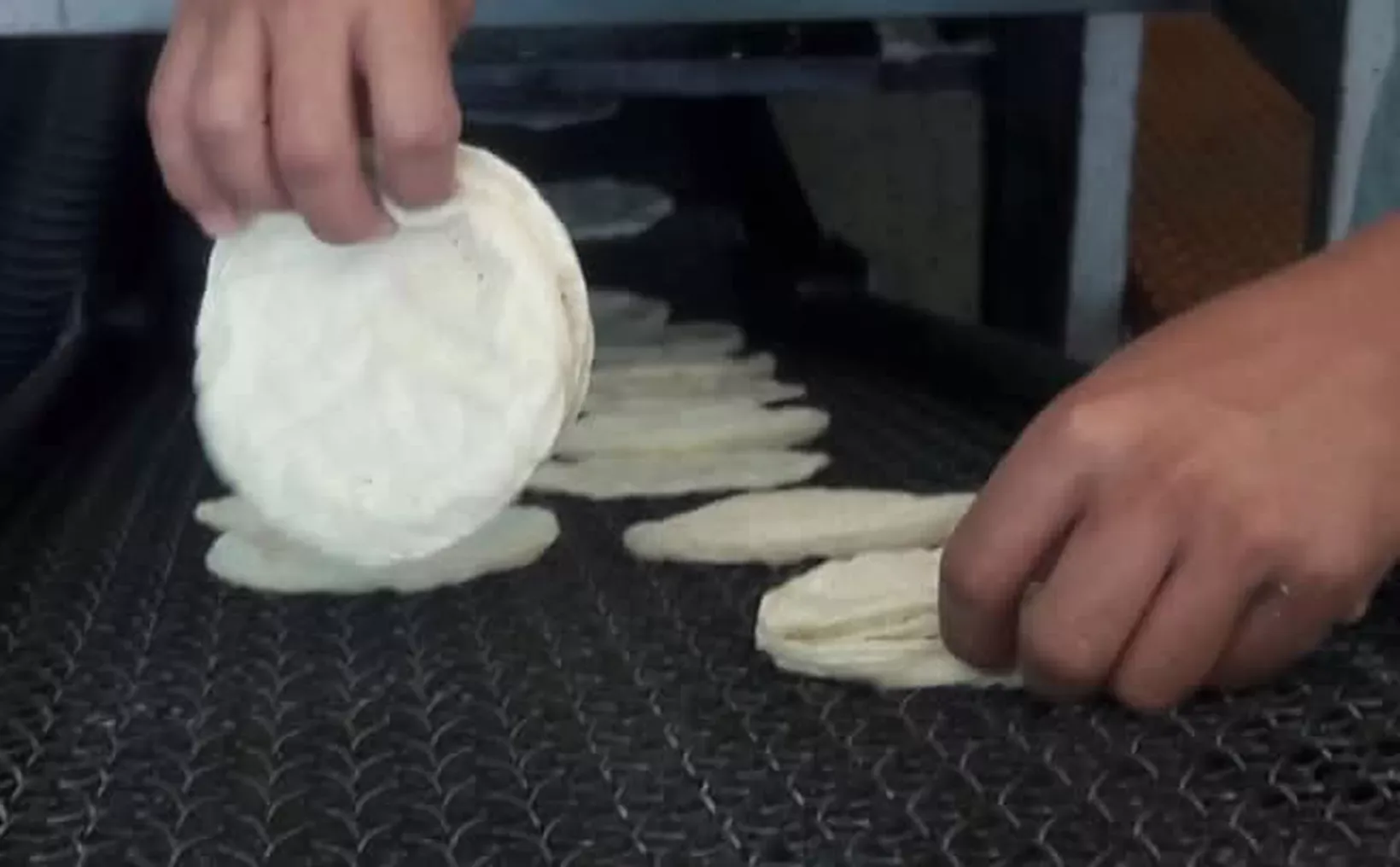 A person is stacking freshly made tortillas on a conveyor belt in a kitchen setting. The tortillas are round and uncooked, ready for the next step in the cooking process.