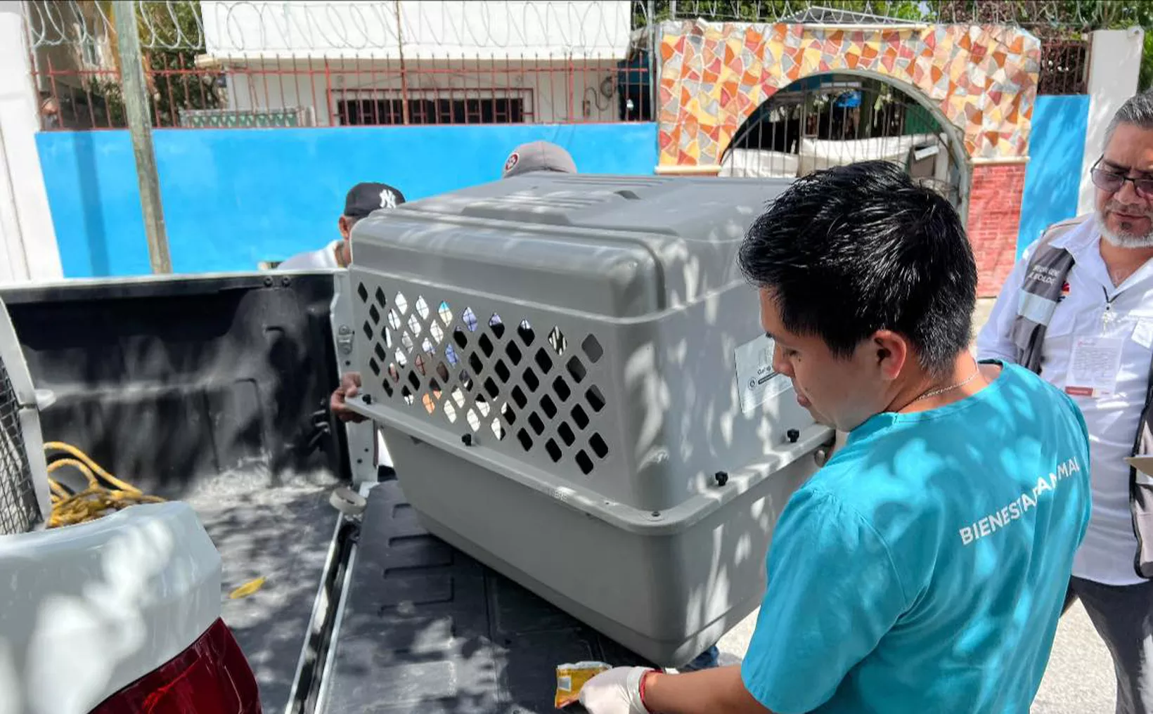Individuals handling a pet carrier in the back of a truck during an animal rescue operation.$# CAPTION