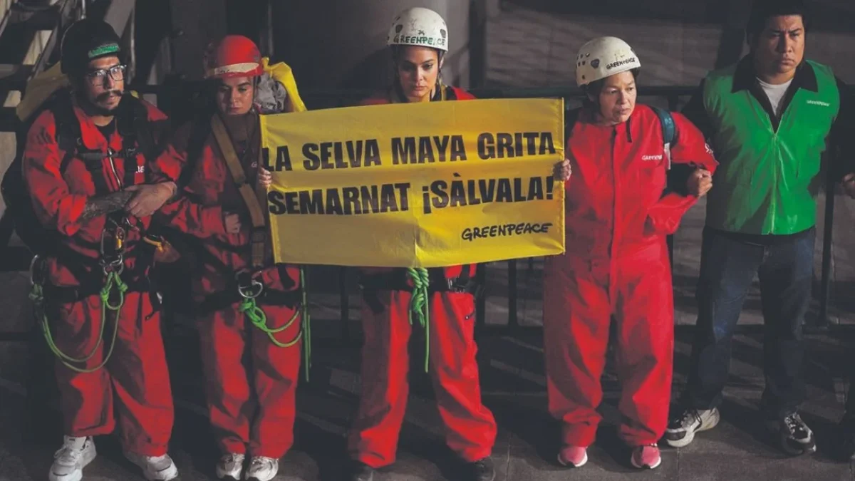 A group of activists dressed in safety gear holding a yellow banner that reads "La selva Maya grita Semarnat ¡sálvala!"