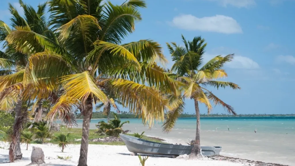 beach in punta allen