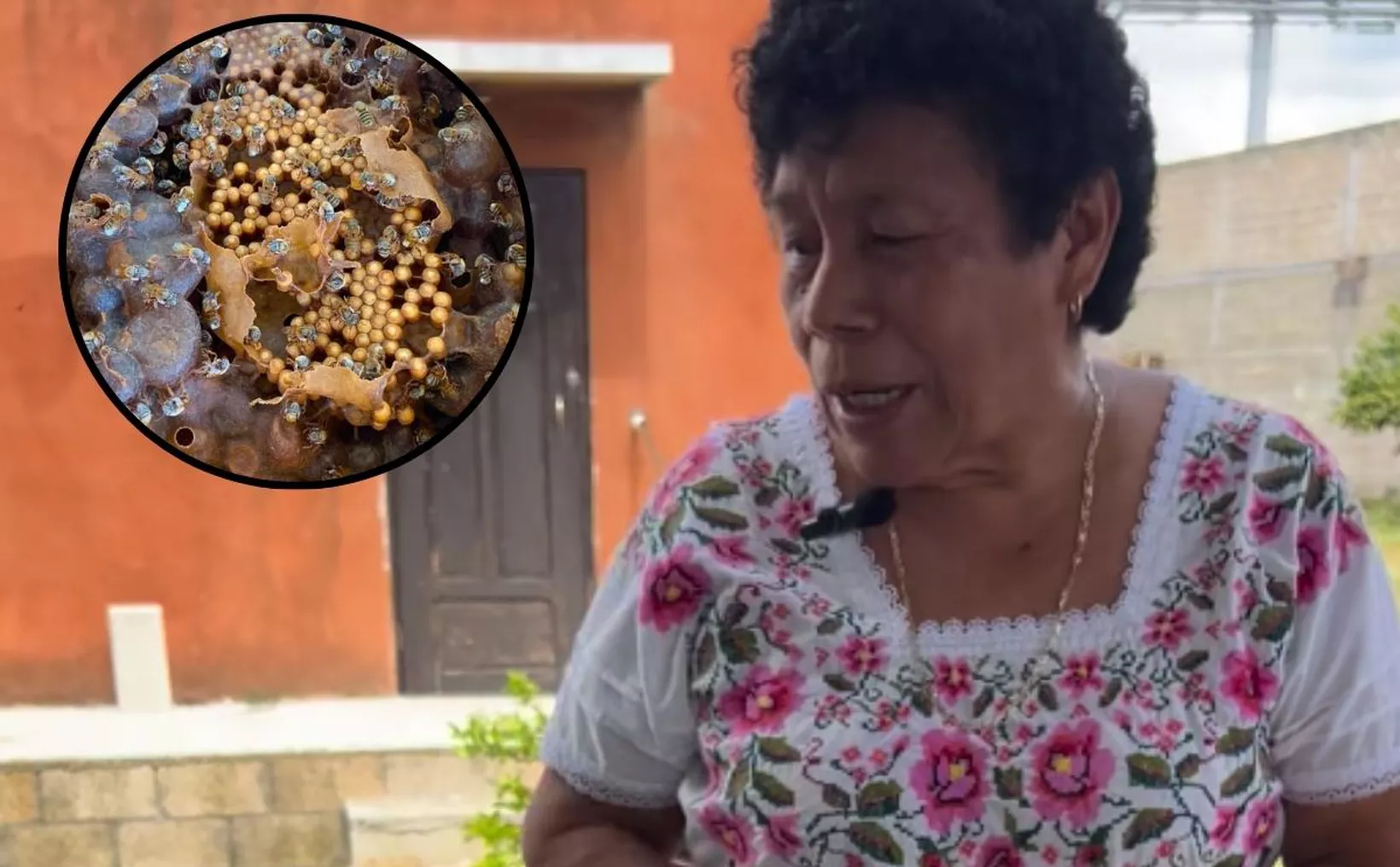 A traditional beekeeper speaking about her craft, with a close-up image of bees and honeycomb in a circle overlaying the scene.$# CAPTION