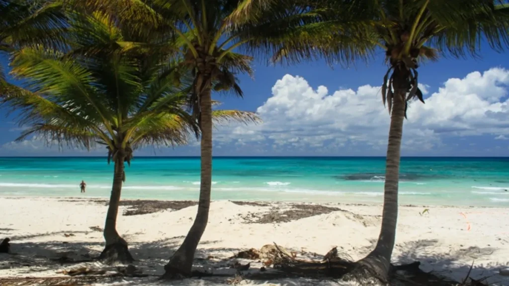 xpu ha beach