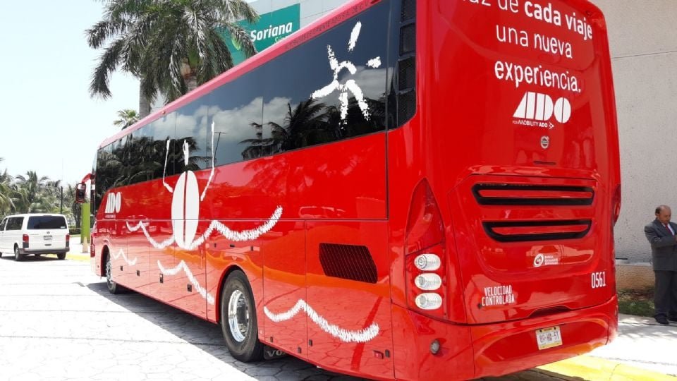 A red ADO bus parked in a sunny location with palm trees nearby