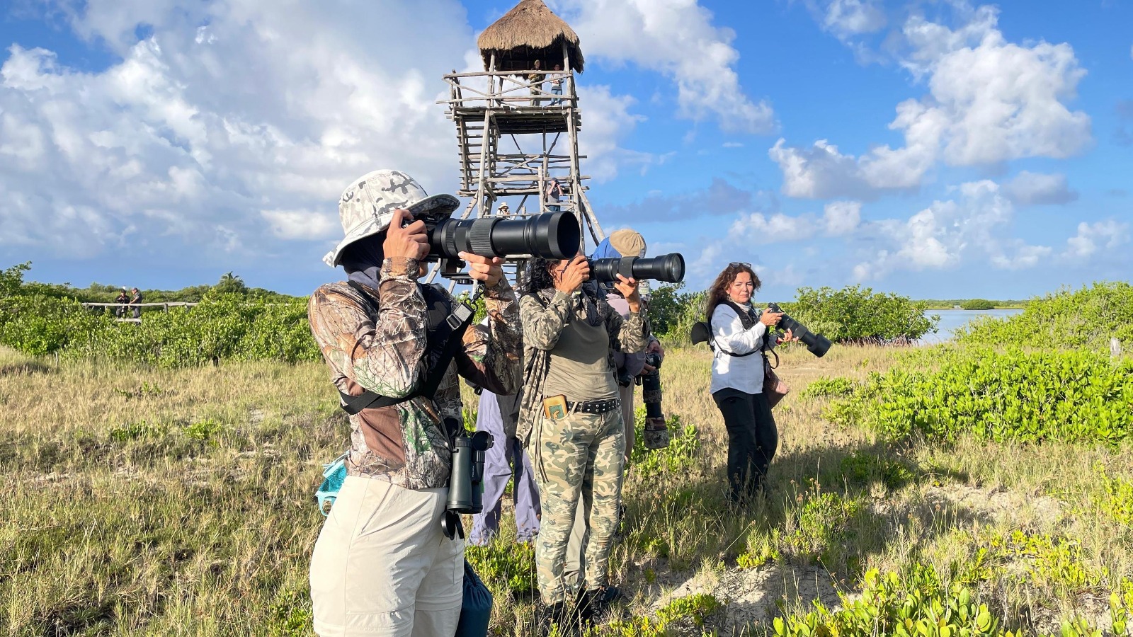 A group of birdwatchers with large cameras capturing images in a natural setting with a lookout tower in the background.$# CAPTION