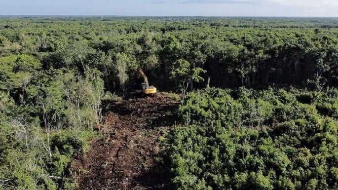 Aerial view of a forest area with visible signs of deforestation, including a yellow excavator working on the ground among lush greenery