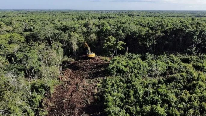 Aerial view of a forest area with visible signs of deforestation, including a yellow excavator working on the ground among lush greenery