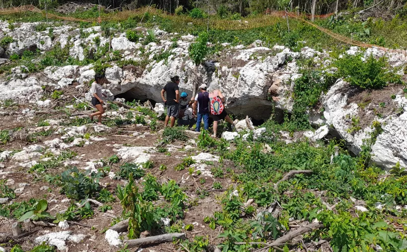 a group of people looking into a cave surrounded by greenery and rocks