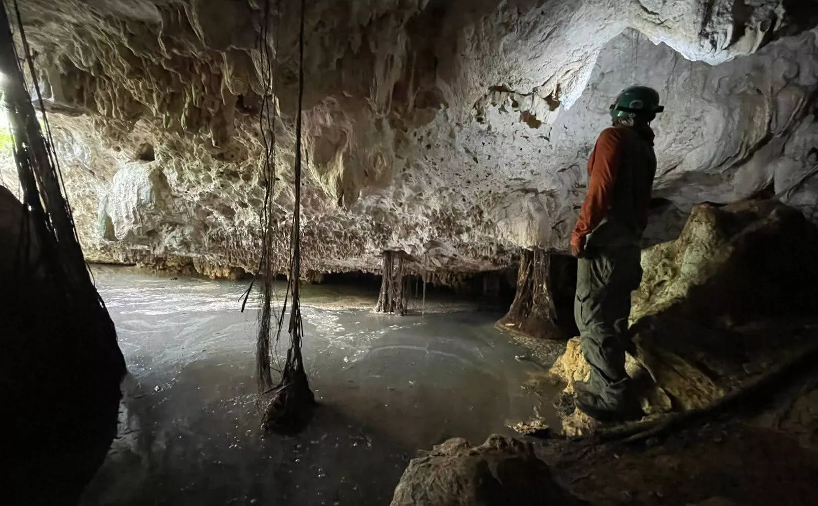 A person stands on the edge of a dark cavern with water, stalactites, and rocky formations surrounding them.$# CAPTION