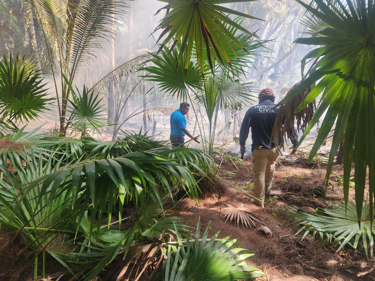 Two firefighters navigating through a dense, smoky forest area, surrounded by palm leaves and trees, as they work to manage a fire outbreak.$# CAPTION
