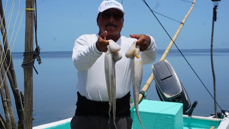 a fisherman proudly holding two octopuses and an unidentified seafood catch on a fishing boat -27102025