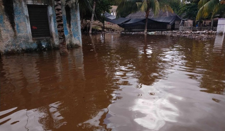 A flooded area with palm trees and water reflecting the sky, showing a building in the foreground and a dark tarp in the background