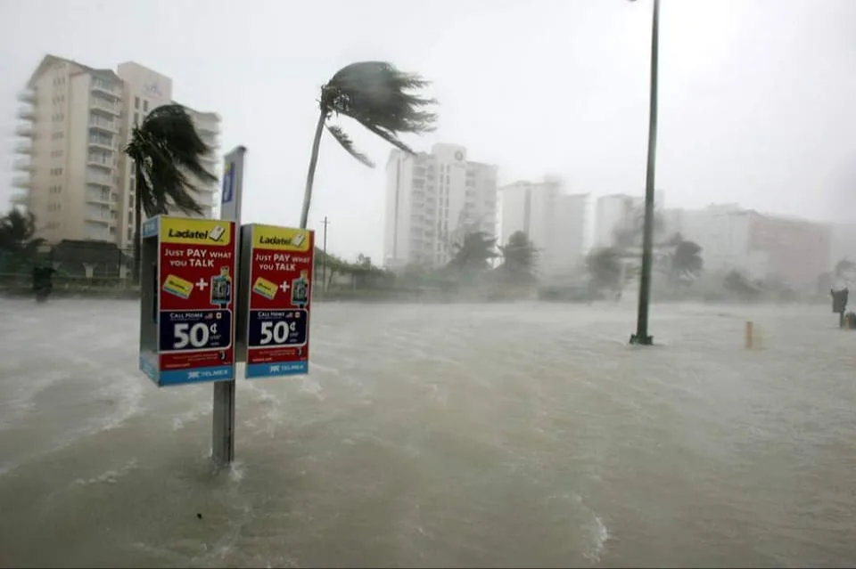A telephone booth partially submerged in floodwaters with strong winds and palm trees bending, while buildings loom in the background under stormy conditions.