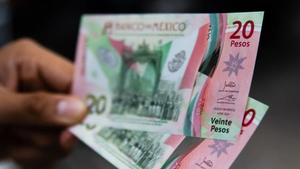a person holding two twenty peso banknotes from Mexico in their hand