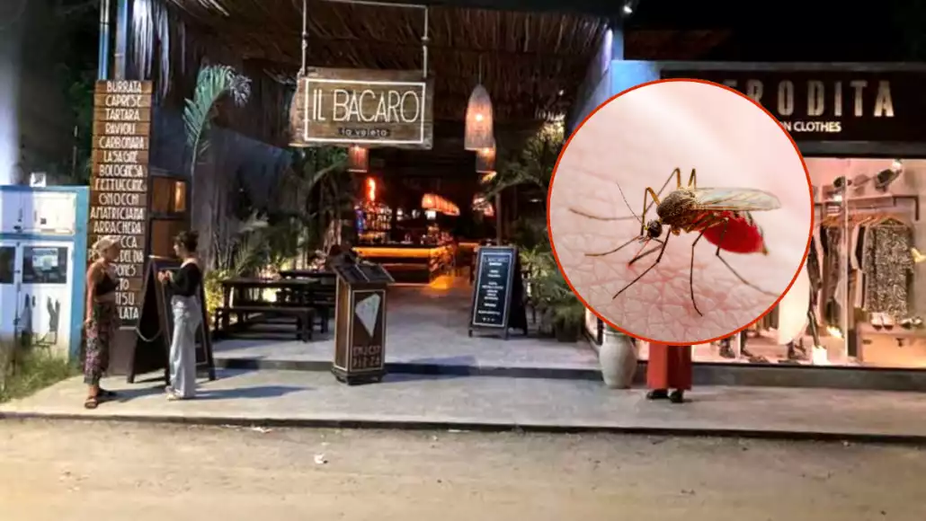 a vibrant outdoor dining area with people chatting outside il bacaro alongside an inset image of a mosquito-06102025