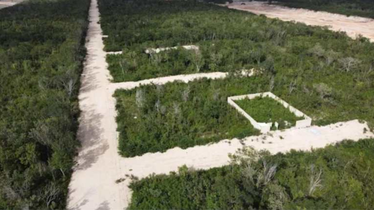 Aerial view of abandoned plots surrounded by lush greenery and a dirt road.$# CAPTION