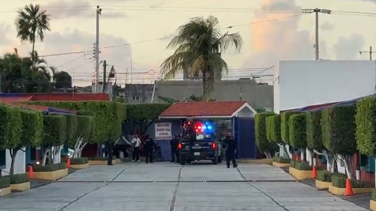 police vehicle with lights on at a scene surrounded by greenery and buildings