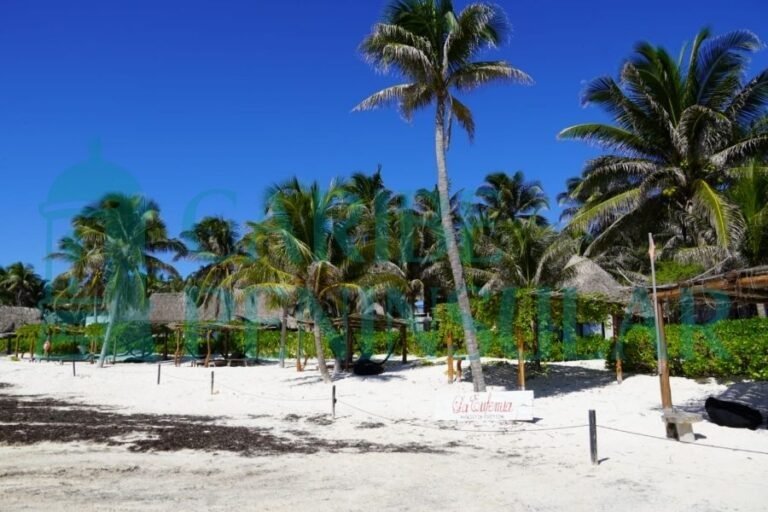 A serene beach scene featuring palm trees, white sand, and a clear blue sky