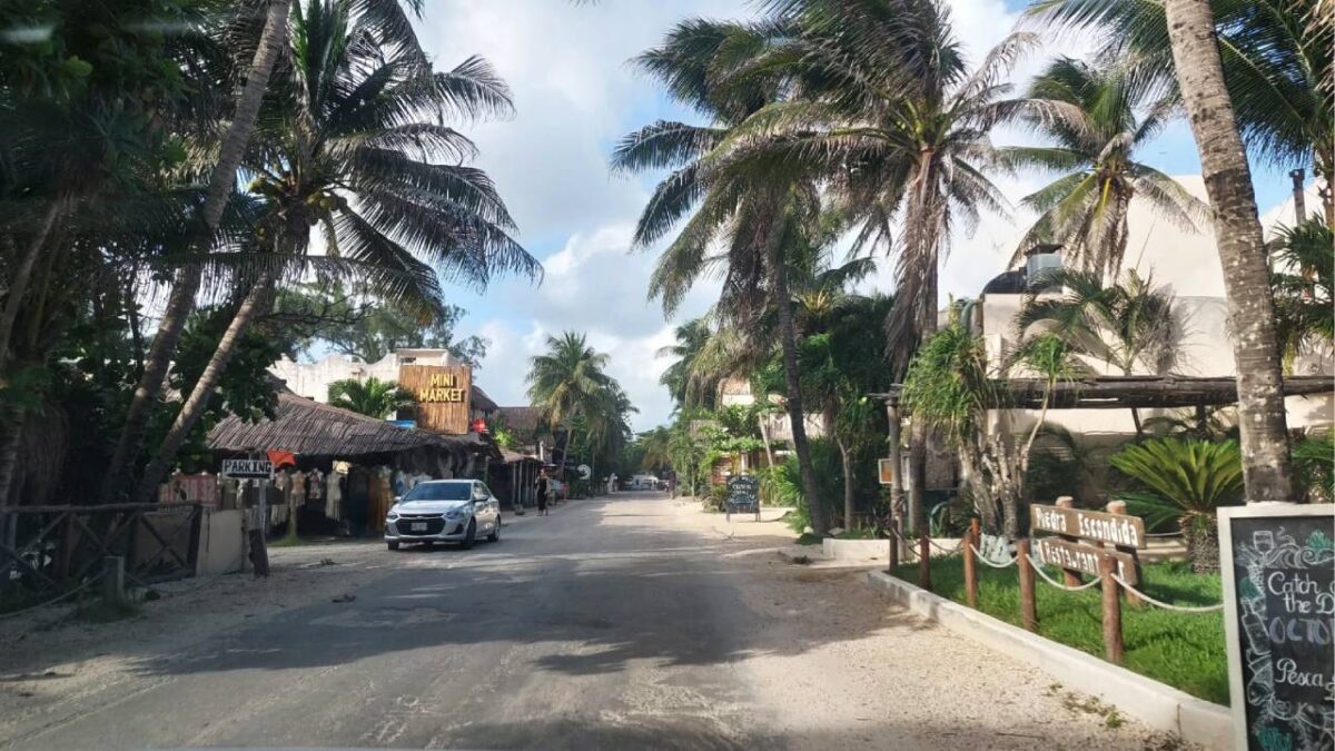 a quiet street lined with palm trees and local shops including a mini market-27102025