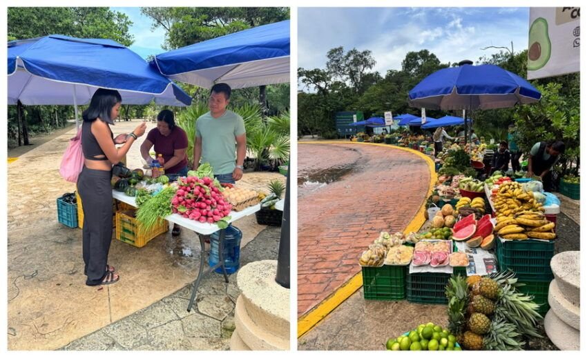 A local market with colorful fruits and vegetables, featuring people interacting and shopping under blue umbrellas. One side shows a woman speaking to vendors, while the other side displays a long fruit and vegetable stand.