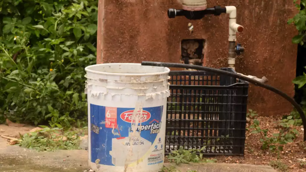 a white bucket next to a hose and a water supply unit in a garden-23102025