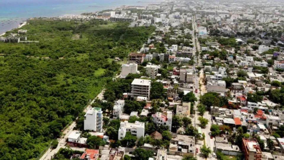 aerial image showing a mix of urban buildings and lush green areas by the coast