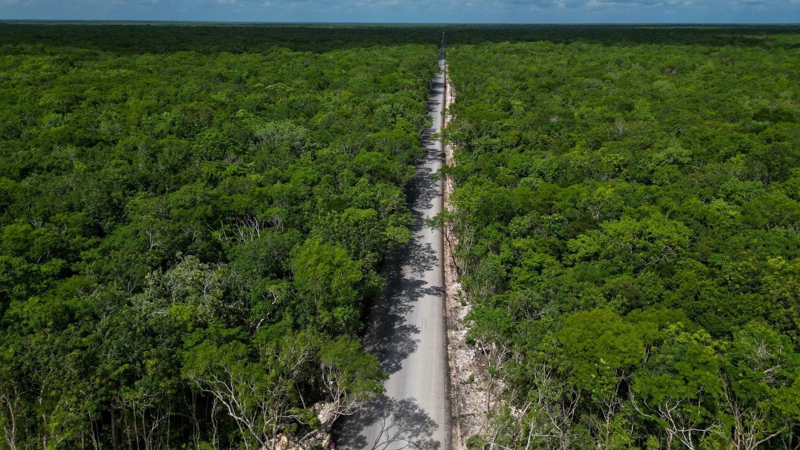 An aerial view of a straight road surrounded by dense green foliage and trees on both sides under a blue sky.$#$ CAPTION