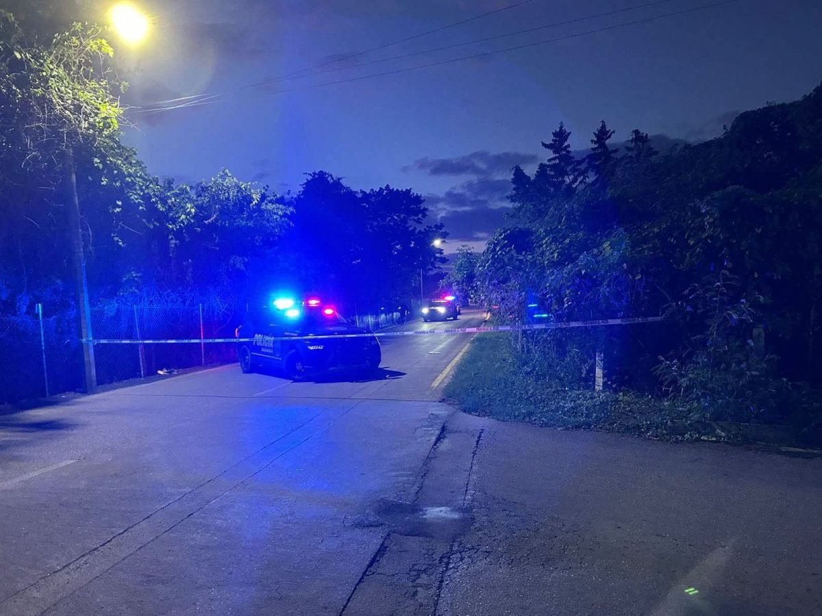 Vegetation area in Aviación neighborhood where body was found