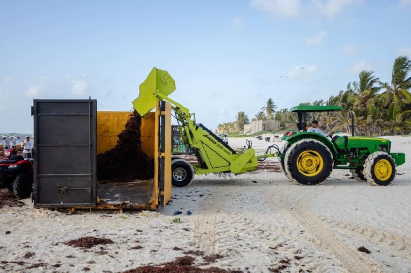 A tractor using an attachment to unload seaweed into a container on the beach with people and palm trees in the background.$# CAPTION