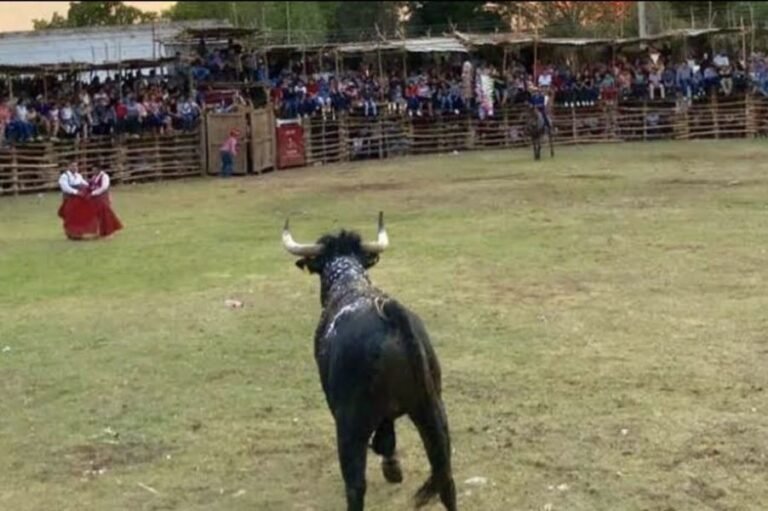 Bullfighters and cultural celebration in José María Morelos