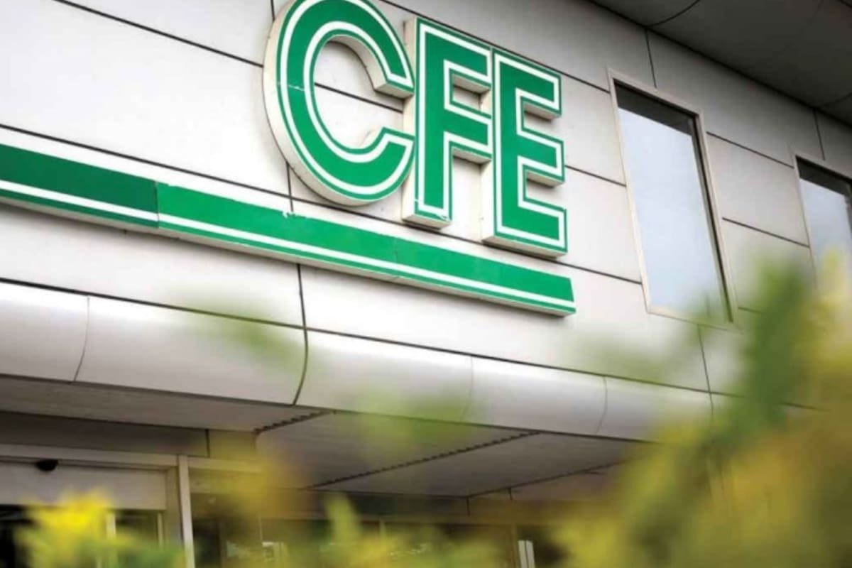 Sign of CFE on a modern building facade, partially obscured by greenery.$#$ CAPTION