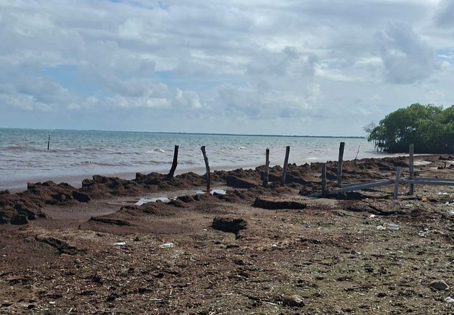a coastal scene showing a sandy shoreline with wooden posts and water in the background under a cloudy sky